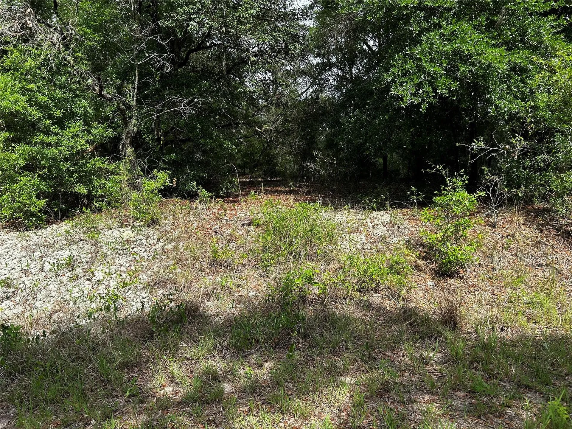 Tbd Uplands Avenue Dunnellon FL 34431