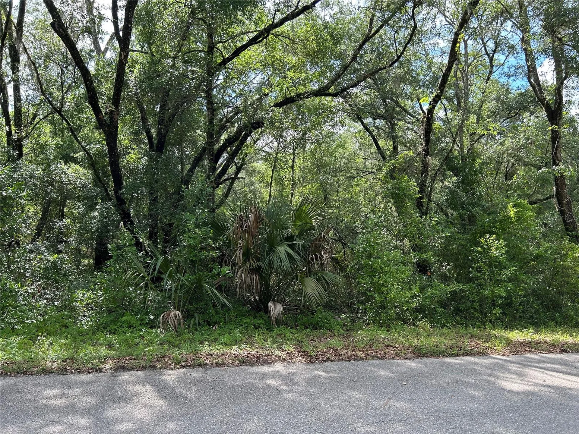 Tbd Uplands Avenue Dunnellon FL 34431