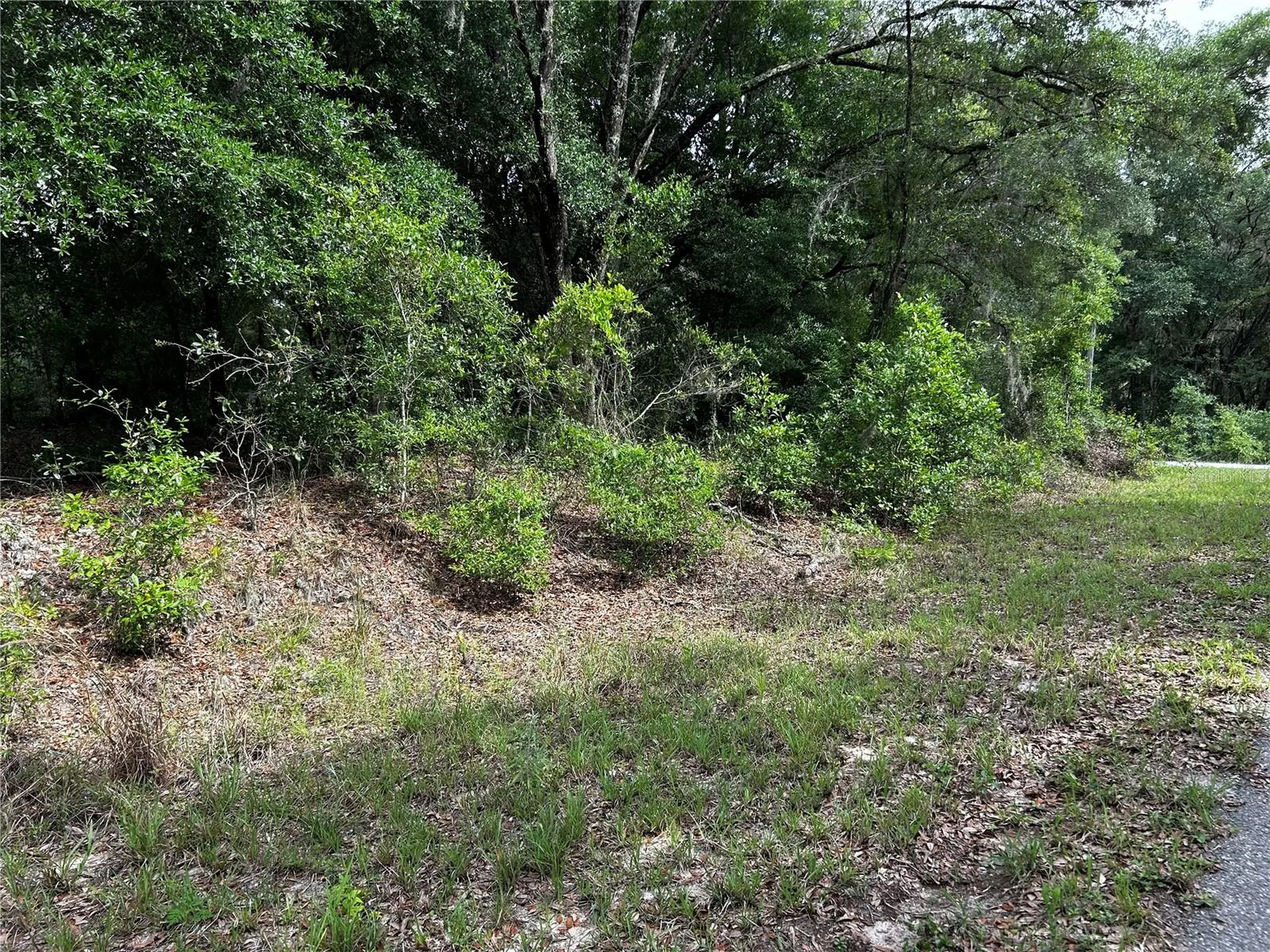 Tbd Uplands Avenue Dunnellon FL 34431