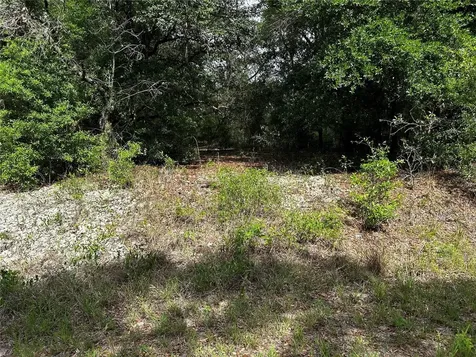 Tbd Uplands Avenue Dunnellon FL 34431