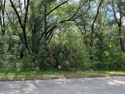 Tbd Uplands Avenue Dunnellon FL 34431