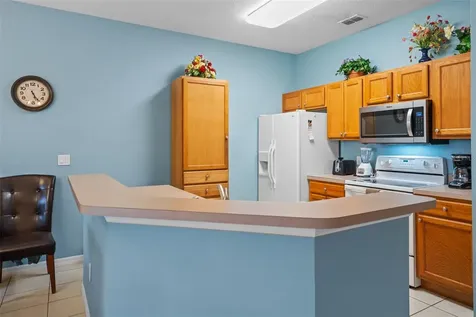 3015 Yellow Lantana Lane Kissimmee FL 34747