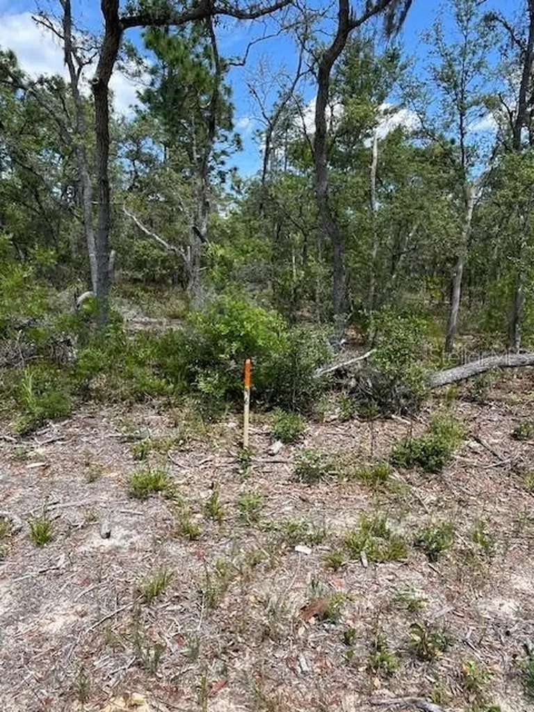 Tbd SW 57th Avenue Interlachen FL 32148