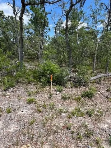 Tbd SW 57th Avenue Interlachen FL 32148