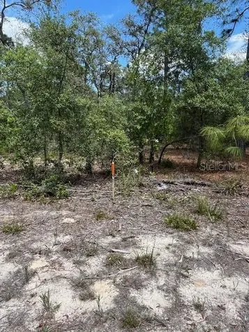 Tbd SW 57th Avenue Interlachen FL 32148