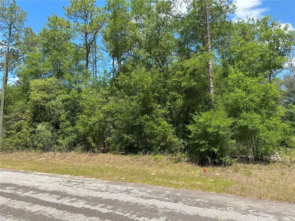 1571 W Alexander Drive Citrus Springs FL 34434