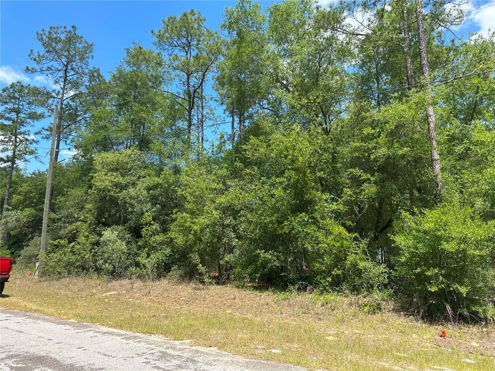 1571 W Alexander Drive Citrus Springs FL 34434