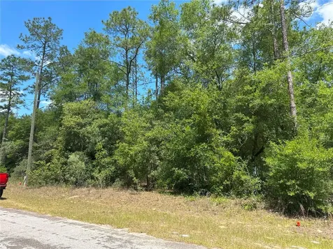 1571 W Alexander Drive Citrus Springs FL 34434