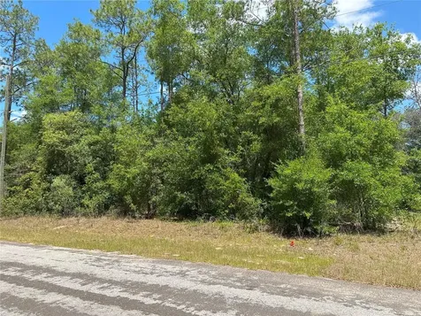 1571 W Alexander Drive Citrus Springs FL 34434