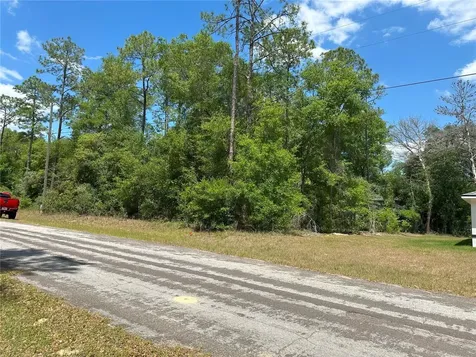 1571 W Alexander Drive Citrus Springs FL 34434