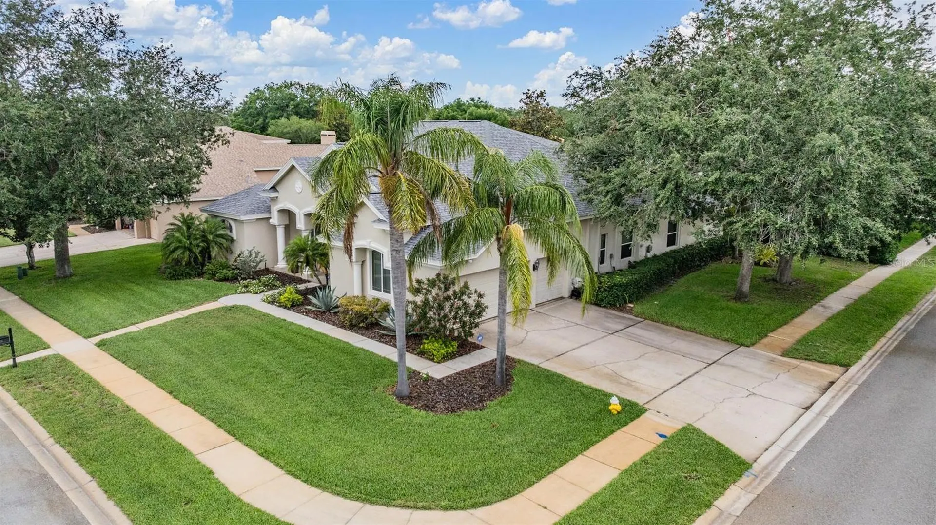 3727 Janus Way Palm Harbor FL 34685
