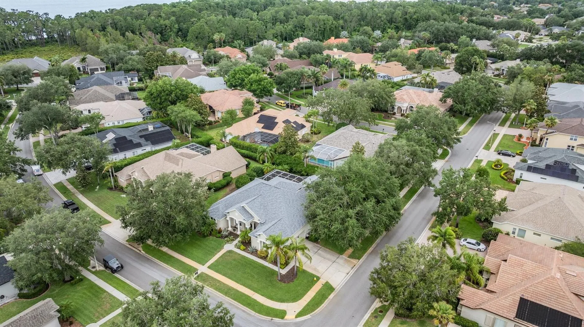 3727 Janus Way Palm Harbor FL 34685