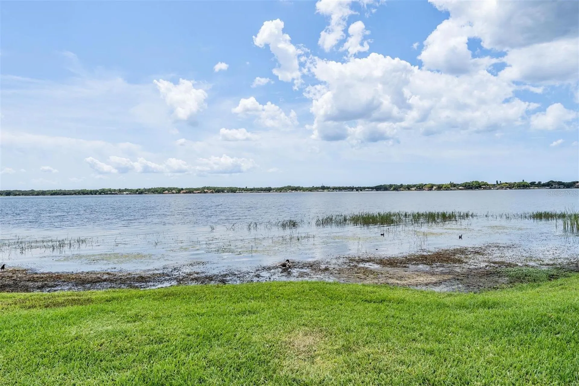 3727 Janus Way Palm Harbor FL 34685