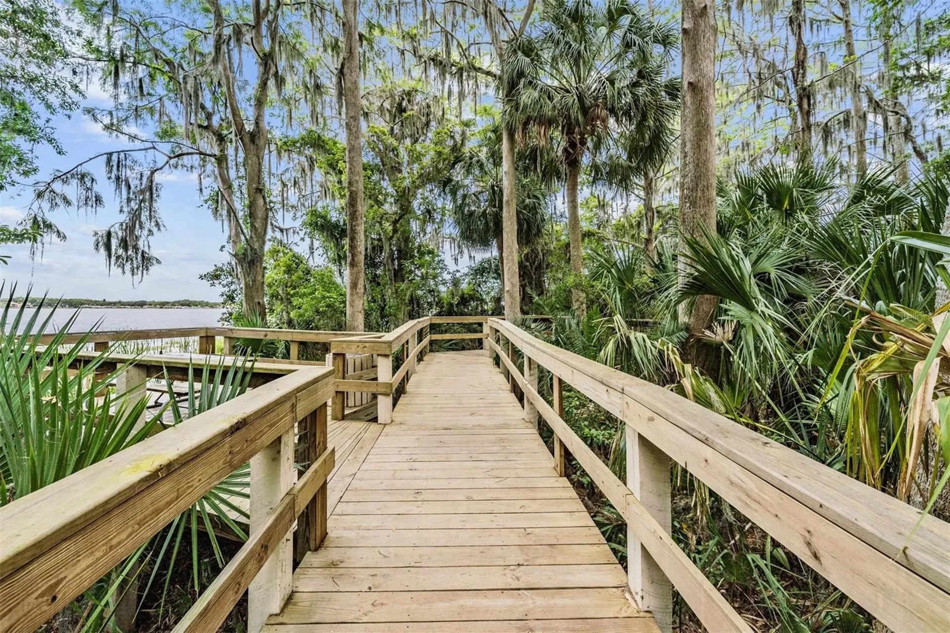 3727 Janus Way Palm Harbor FL 34685