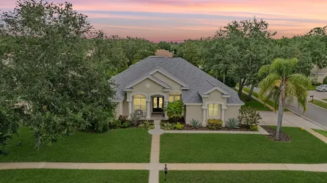 3727 Janus Way Palm Harbor FL 34685