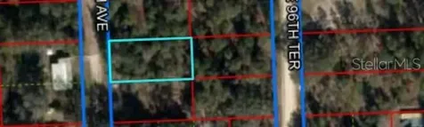 Tbd NE 96th Avenue Bronson FL 32621