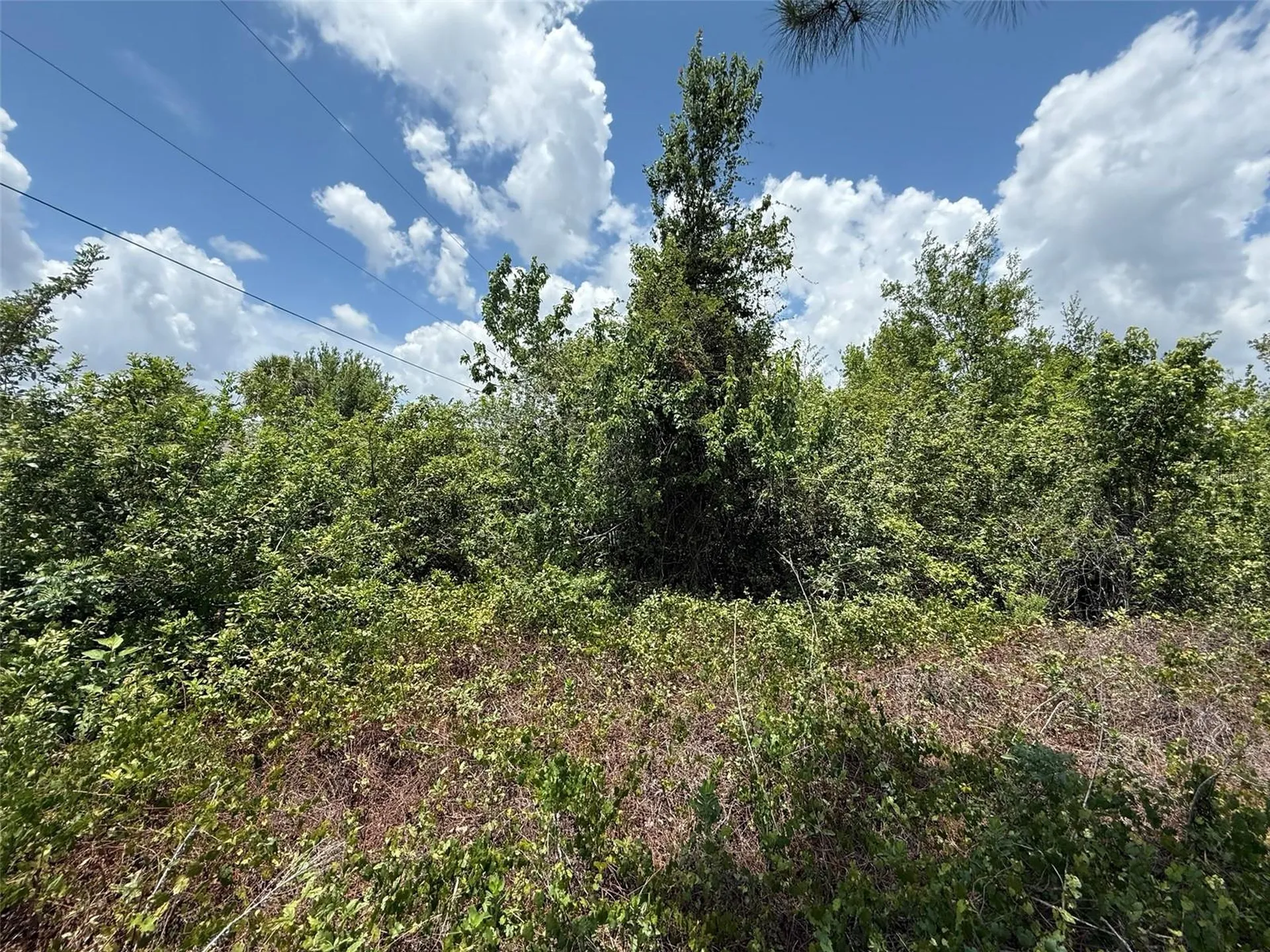 Snug Street North Port FL 34286