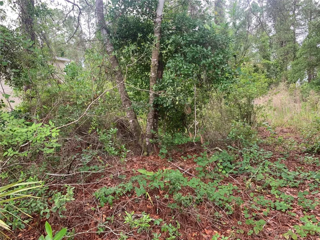 525 Live Oak Loop Crescent City FL 32112