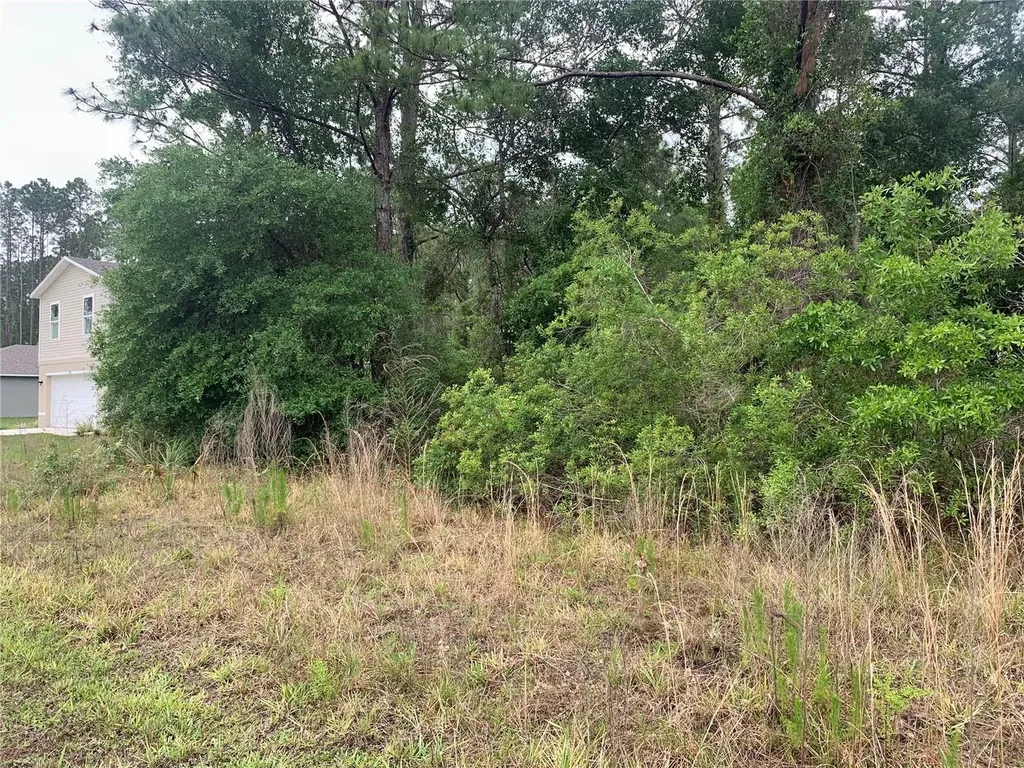525 Live Oak Loop Crescent City FL 32112