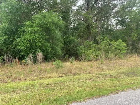 525 Live Oak Loop Crescent City FL 32112