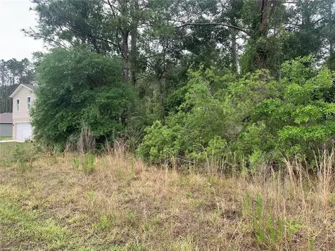 525 Live Oak Loop Crescent City FL 32112