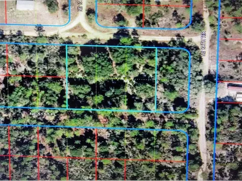 0 NE 52nd Street Williston FL 32696