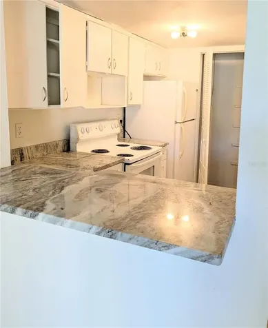 3840 N Lake Drive Tampa FL 33614