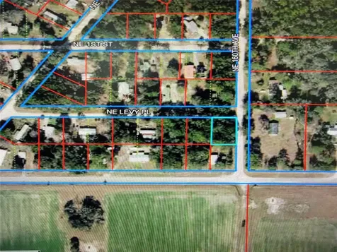 Lot 19 NE Levy Place Williston FL 32696