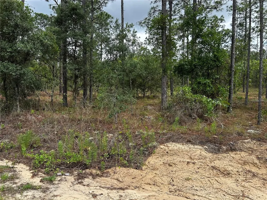 Tbd NW Foxglove Lane Dunnellon FL 34431