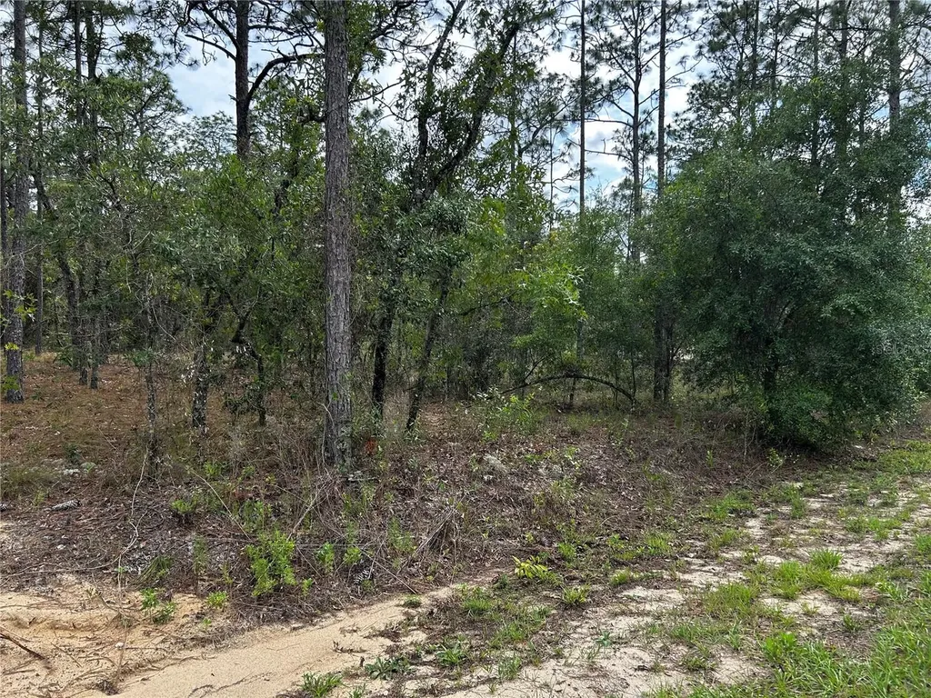 Tbd NW Foxglove Lane Dunnellon FL 34431