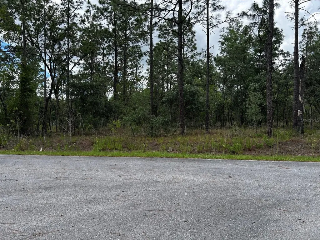 Tbd NW Foxglove Lane Dunnellon FL 34431