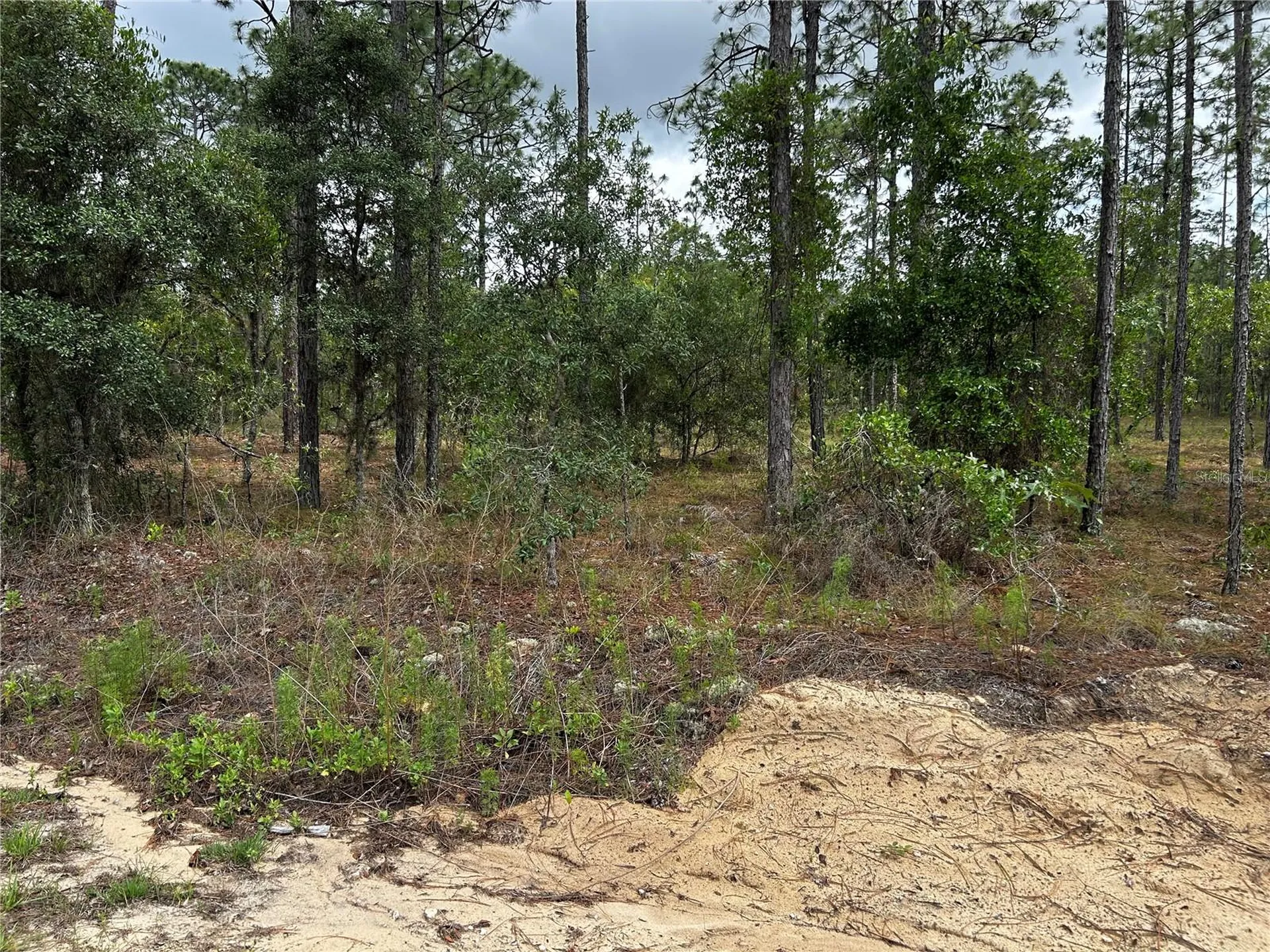 Tbd NW Foxglove Lane Dunnellon FL 34431