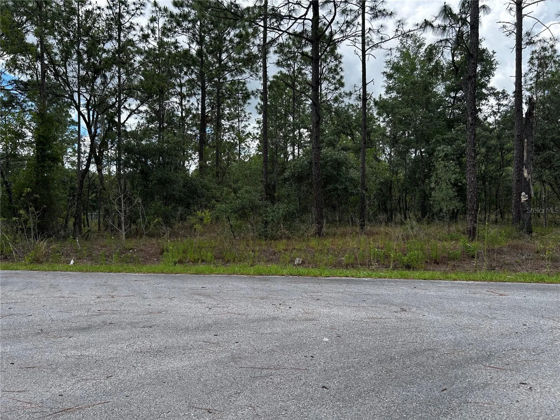 Tbd NW Foxglove Lane Dunnellon FL 34431