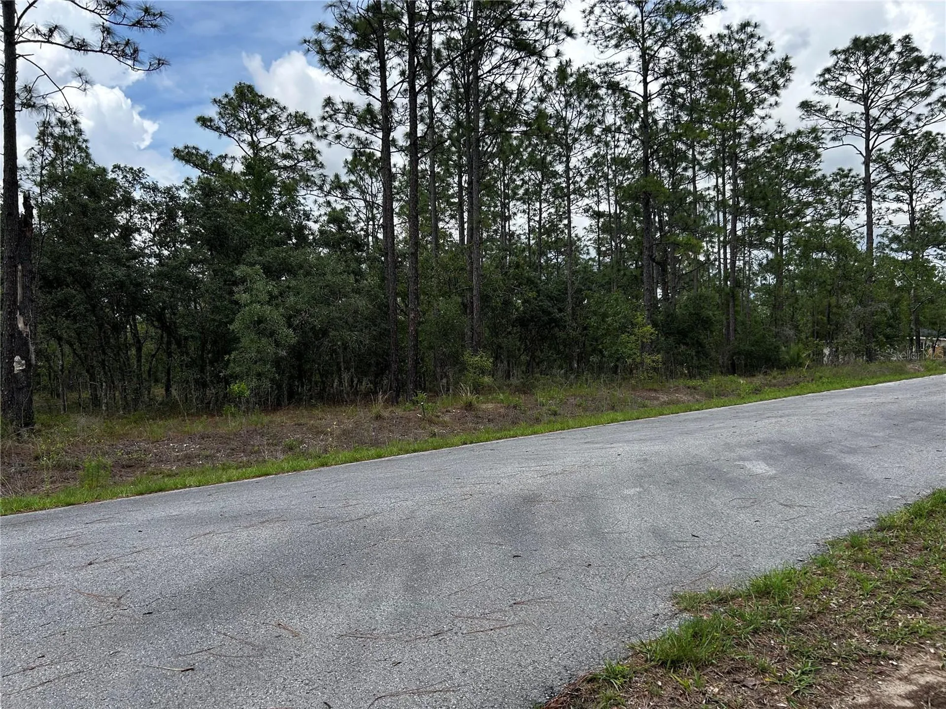Tbd NW Foxglove Lane Dunnellon FL 34431