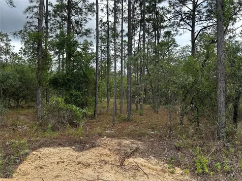 Tbd NW Foxglove Lane Dunnellon FL 34431