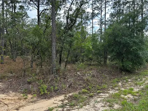 Tbd NW Foxglove Lane Dunnellon FL 34431