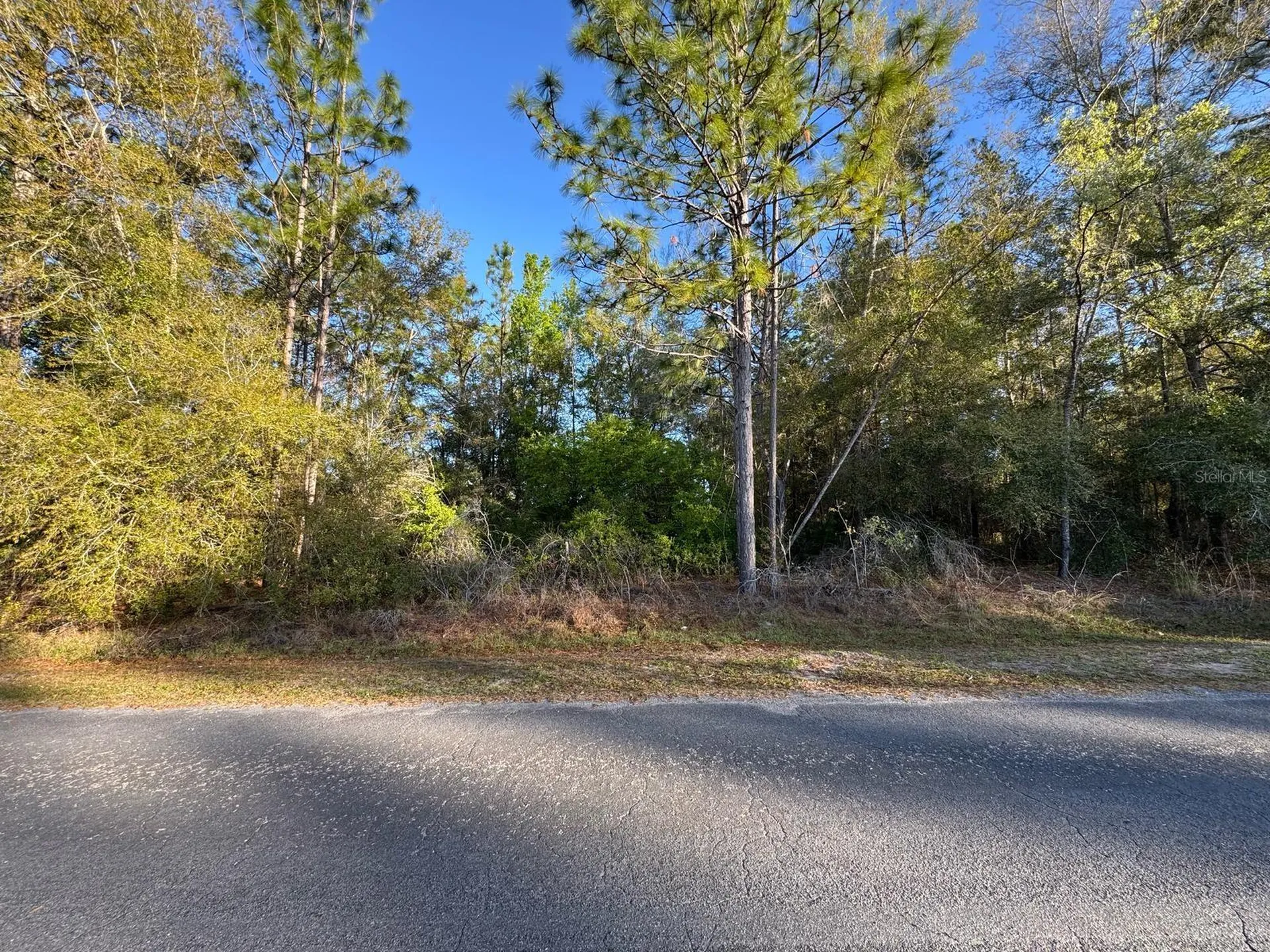 7898 N Pocono Drive Citrus Springs FL 34434