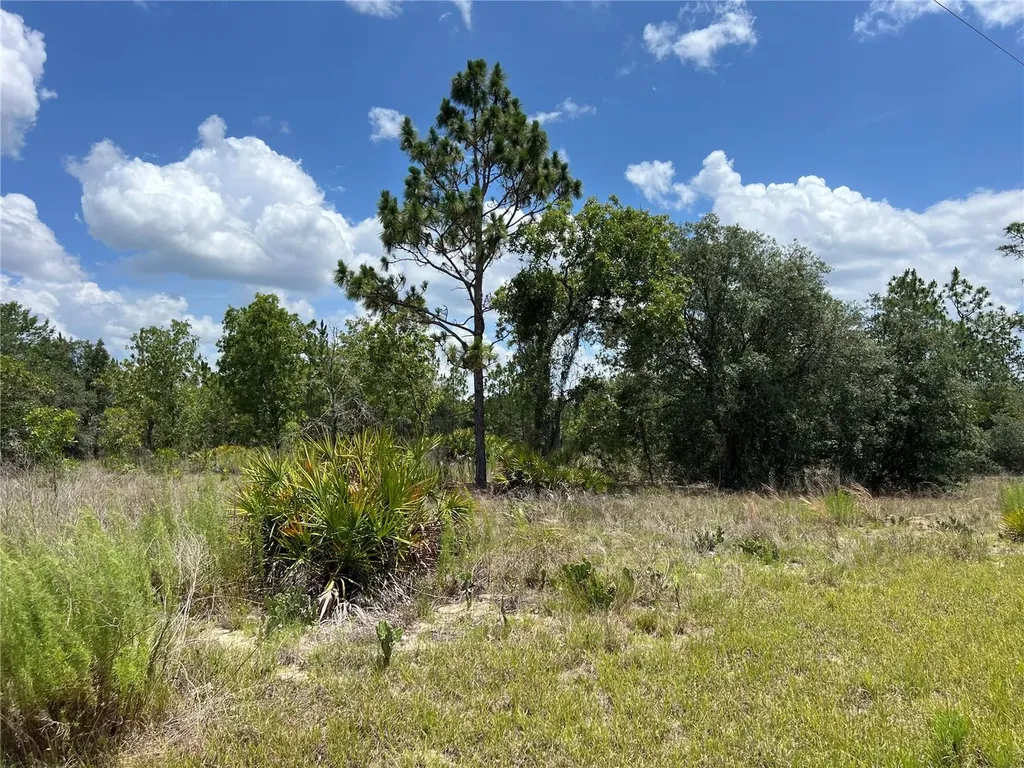 3309/3323 W Hampshire Boulevard Citrus Springs FL 34433