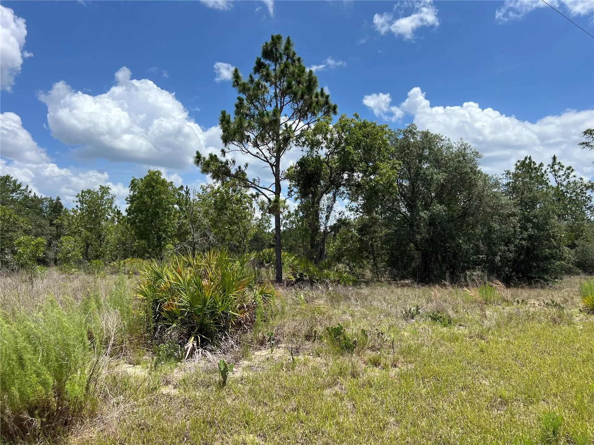 3309/3323 W Hampshire Boulevard Citrus Springs FL 34433