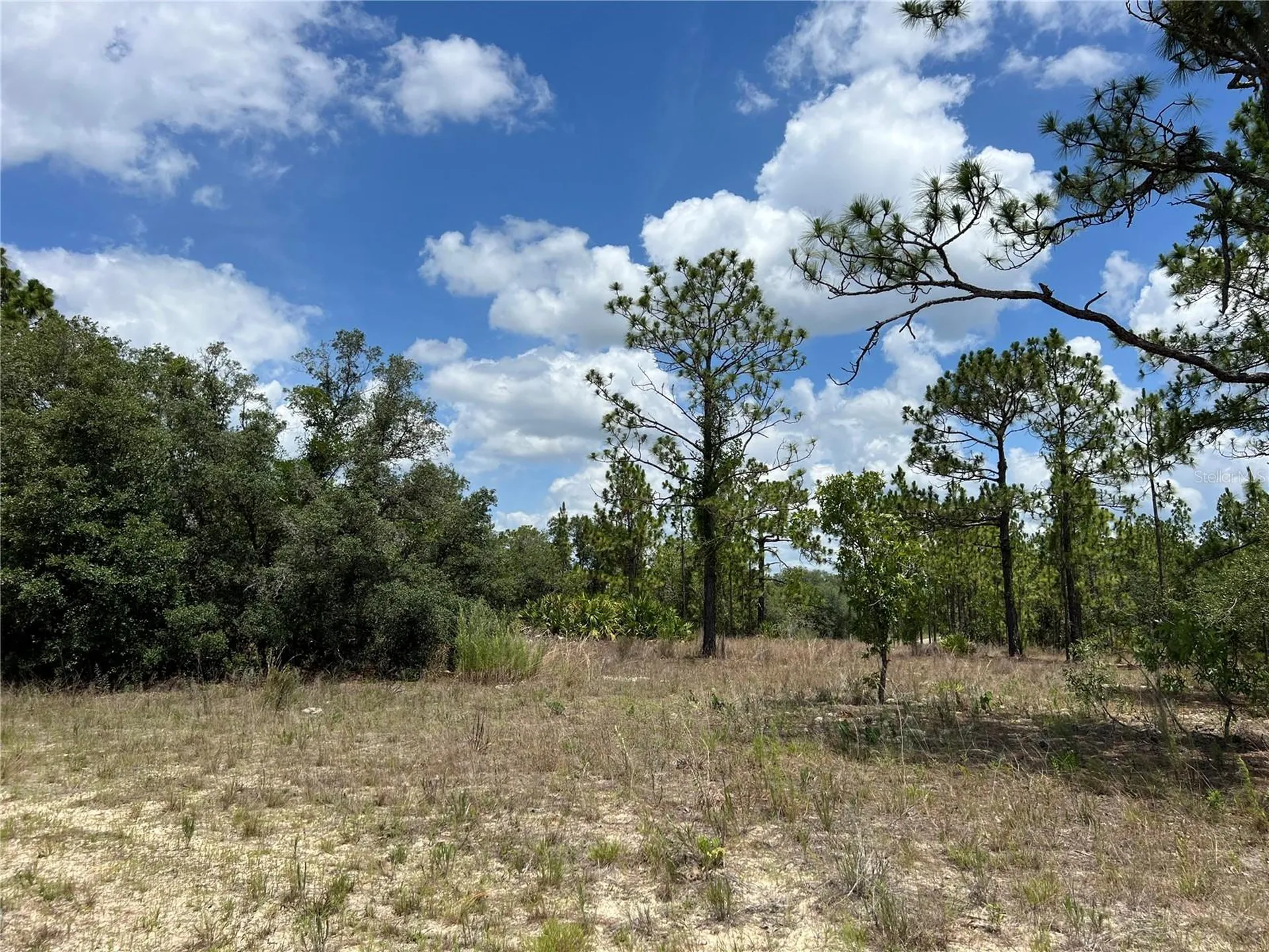 3309/3323 W Hampshire Boulevard Citrus Springs FL 34433