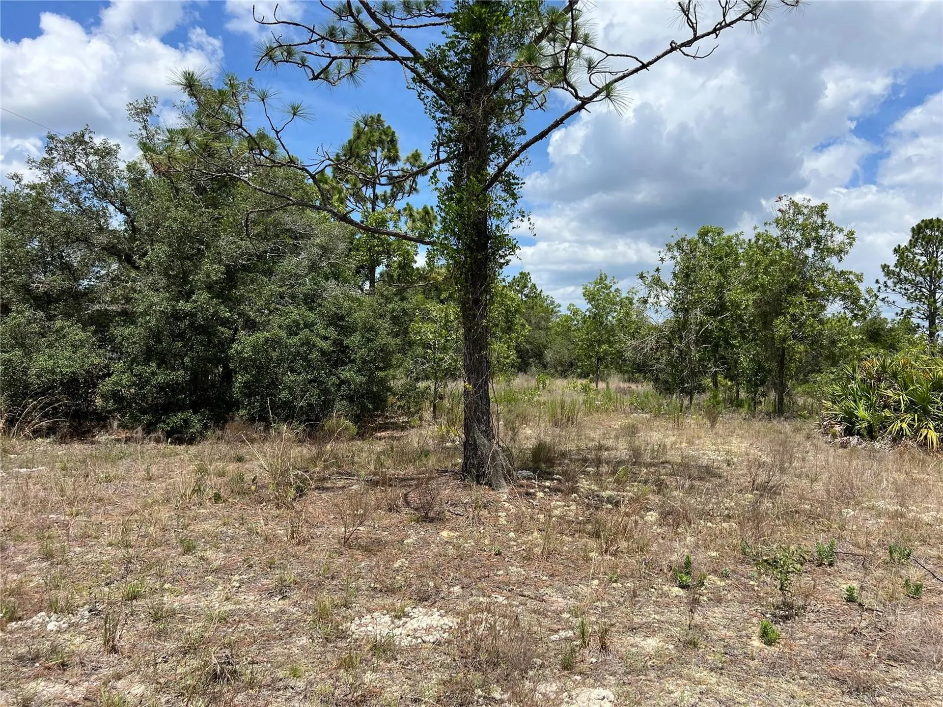 3309/3323 W Hampshire Boulevard Citrus Springs FL 34433