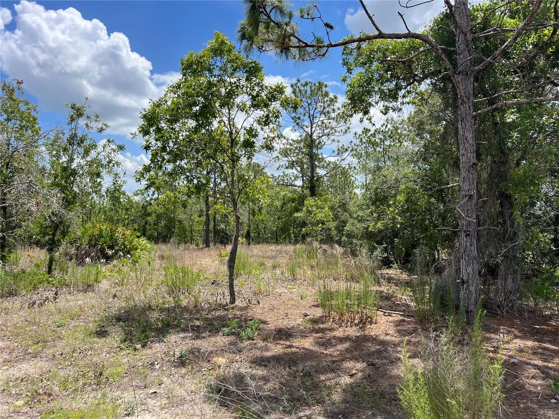 3309/3323 W Hampshire Boulevard Citrus Springs FL 34433