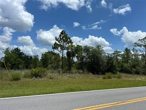 3309/3323 W Hampshire Boulevard Citrus Springs FL 34433
