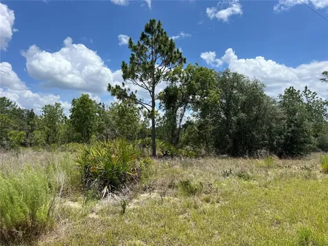3309/3323 W Hampshire Boulevard Citrus Springs FL 34433