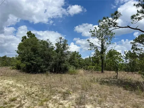 3309/3323 W Hampshire Boulevard Citrus Springs FL 34433