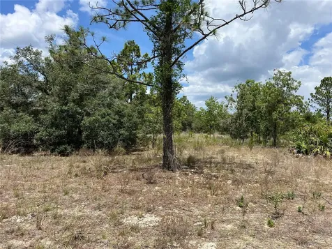 3309/3323 W Hampshire Boulevard Citrus Springs FL 34433