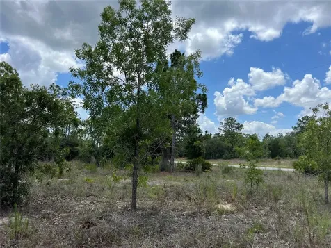3309/3323 W Hampshire Boulevard Citrus Springs FL 34433