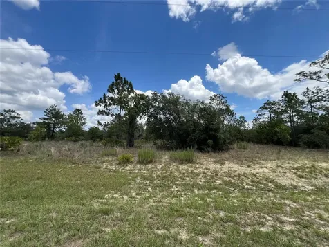 3309/3323 W Hampshire Boulevard Citrus Springs FL 34433