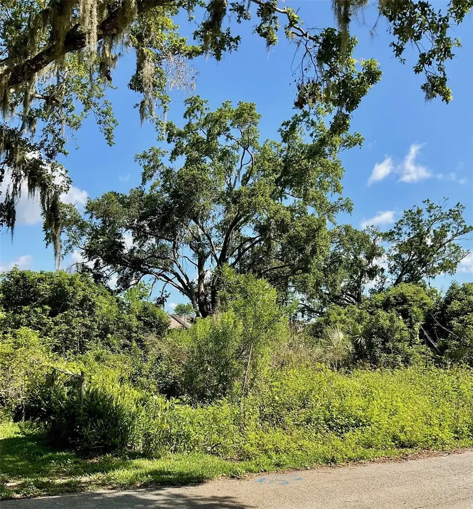 Paige Avenue New Smyrna Beach FL 32168