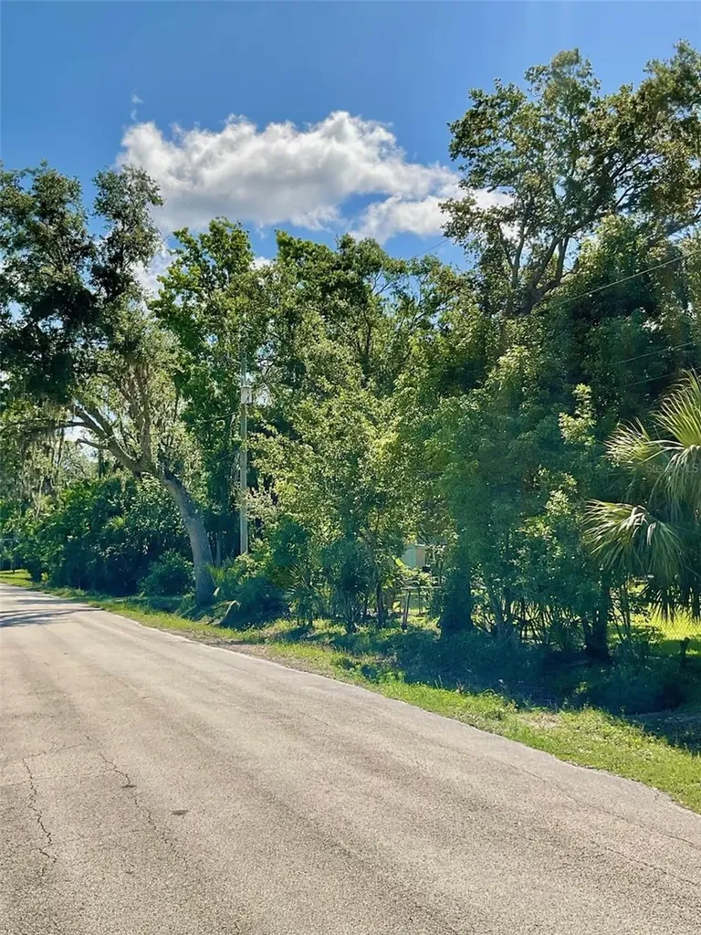 Paige Avenue New Smyrna Beach FL 32168